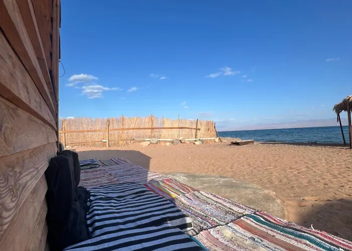 Anne Sinai Camp